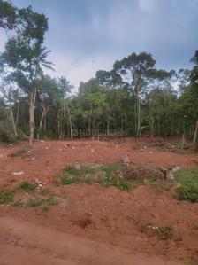 Image of 14373 Sq.ft Residential Plot / Land for sale in Balaramapuram, Thiruvananthapuram for Rs. 400001