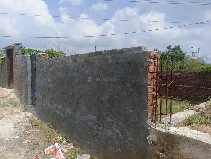 Royal green society Main Image 1