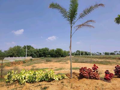 Image of 150 Sq.ft Residential Plot / Land for sale in SGD Elite, Adibatla, Hyderabad for Rs. 3900057