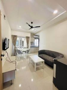 Hall Image of 950 Sq.ft 2 BHK Apartment / Flat for rent in Majestique New Friends, Kothrud Pune for Rs. 31000