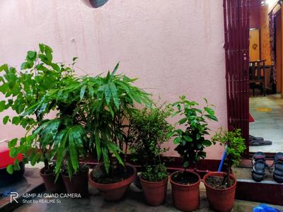 Image of 650 Sq.ft 2 BHK Builder Floor for rent in Belghoria, Kolkata for Rs. 15000
