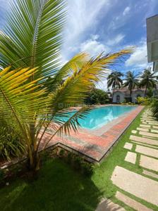 Image of 1200 Sq.ft 2 BHK Apartment / Flat for sale in Siolim, Goa for Rs. 18500000