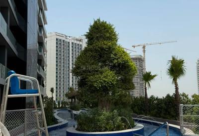 Image of 672 Sq.ft 1 BHK Apartment / Flat for rent in Al Barsha, Dubai for Rs. 184167