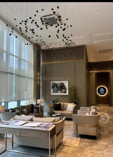 Tripundra Main Image 1