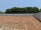 Madanapuram Main Image 1