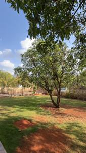 Image of 4000 Sq.ft 4 BHK Independent House for sale in Dhamni, Pune for Rs. 29000000