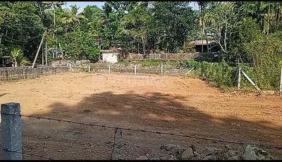 Kakkanad Plot View 1