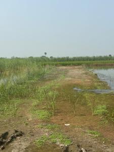 Image of 900 Sq.ft Residential Plot / Land for sale in Binola, Gurgaon for Rs. 1500000