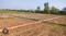 Sadikpur maner Main Image 1