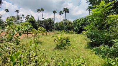 Image of 31968 Sq.ft Residential Plot / Land for sale in Kothavalasa, Visakhapatnam for Rs. 14800000