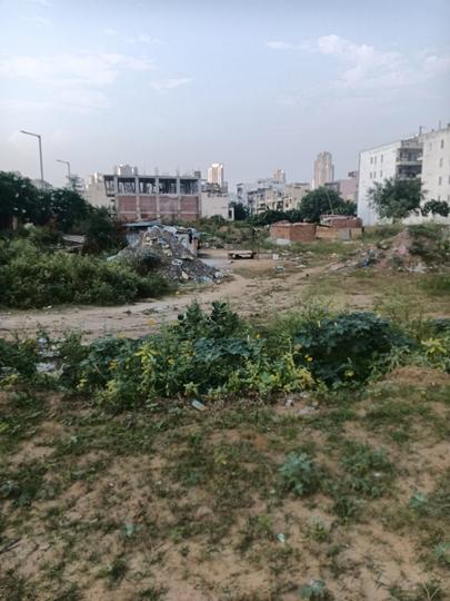 Central Park Flower Valley Main Image 1