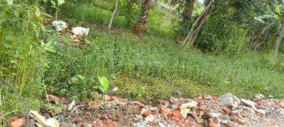 Image of 1832 Sq.ft 12 BHK Farm House for rent in Ivytrade Baruipur Township, Baruipur, Kolkata for Rs. 250000