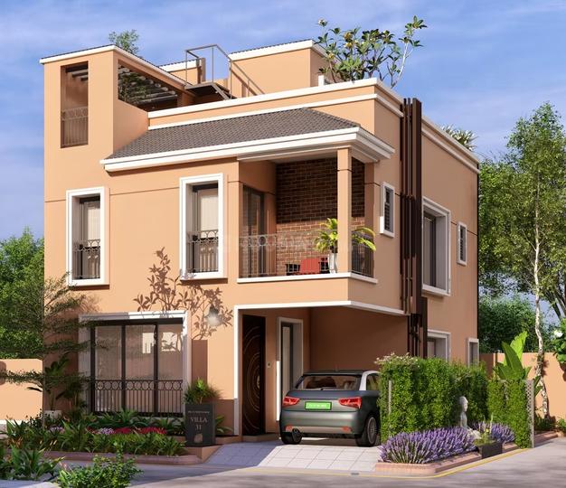 DAC House of Palisade Main Image 1