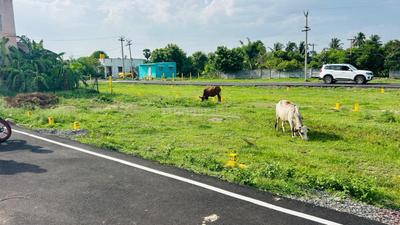 Image of 900 Sq.ft 2 BHK Independent House for sale in Chengalpattu, Chennai for Rs. 3000000