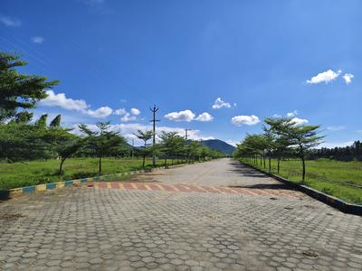 Image of 180 Sq.ft Residential Plot / Land for sale in Sontyam, Visakhapatnam for Rs. 3820000