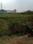 Surya vihar Main Image 1