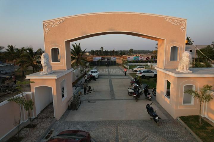 RAK Felicity Main Image 1