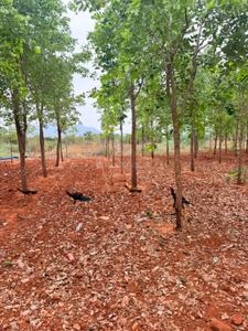 Image of 11000 Sq.ft Residential Plot / Land for sale in Ongole, Prakasam for Rs. 1010000