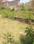 Jamoliwala, Bhagwant Pur Plot View 2