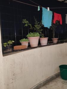Balcony Image of 1000 Sq.ft 2 BHK Apartment / Flat for sale in Apsara Apartments, South Civil Lines Jabalpur for Rs. 4000000