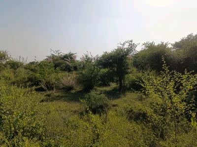 Image of 60 Sq.ft Residential Plot / Land for sale in Sector 34 Rohini, New Delhi for Rs. 16000000