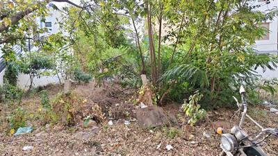 IInd Phase Plot View 2