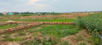 Image of 1200 Sq.ft Residential Plot / Land for sale in Bhagawanpur, Bhubaneswar for Rs. 1080000