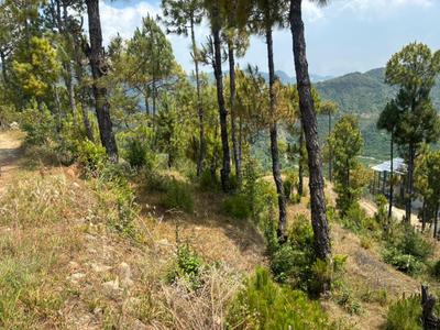 Image of 4320 Sq.ft Residential Plot / Land for sale in Mukteshwar, Nainital for Rs. 3500000