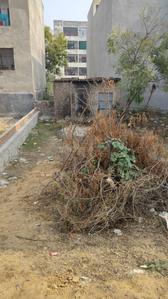 Residential Plot
