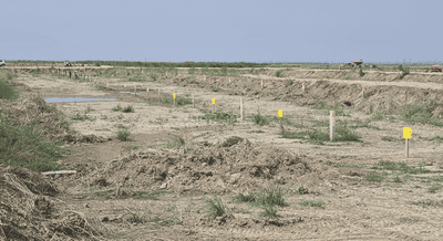 Image of 1200 Sq.ft 3 BHK Builder Floor for sale in Boring Road, Patna for Rs. 2220000