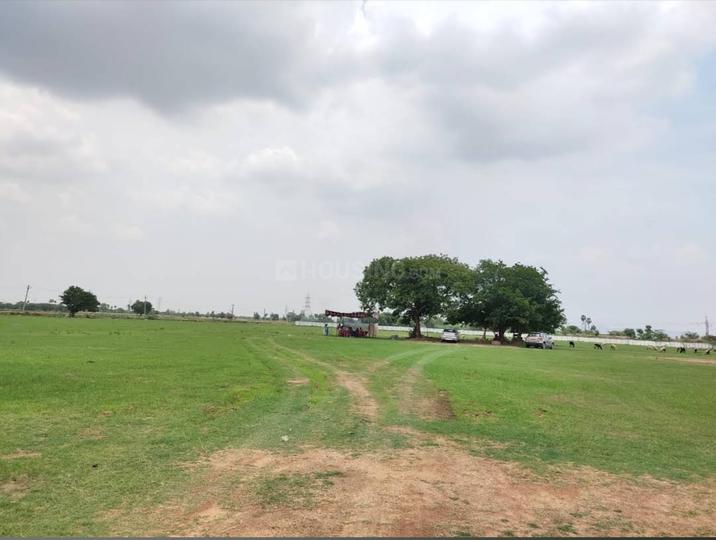 Agilavetri groups Main Image 1