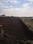 Shree Tulip Grande Plot View 2