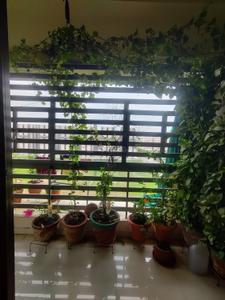 Balcony Image of 1800 Sq.ft 3 BHK Apartment / Flat for sale in Nikol Ahmedabad for Rs. 8000000