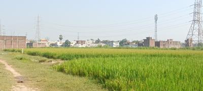 Image of 1360 Sq.ft Residential Plot / Land for sale in Ram Nagar, Varanasi for Rs. 1900000