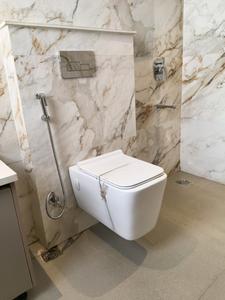 Common Bathroom Image of 2400 Sq.ft 4 BHK Builder Floor for sale in Sector 49 Gurgaon for Rs. 38500000