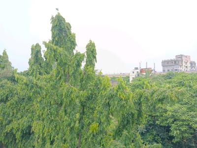 Living Room Image of 2600 Sq.ft 4 BHK Apartment / Flat for sale in Behala Chowrasta Kolkata for Rs. 15000000