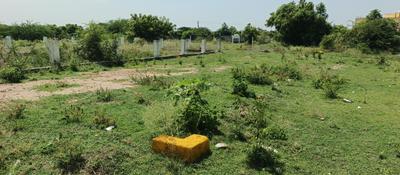 Image of 1812 Sq.ft Residential Plot / Land for sale in RKS Meadows, Adhanur, Chennai for Rs. 4000000