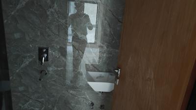 Bathroom Image of 510 Sq.ft 1 BHK Apartment / Flat for rent in Promesa West End, Dadar West Mumbai for Rs. 80000