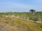Turangi Plot View 2