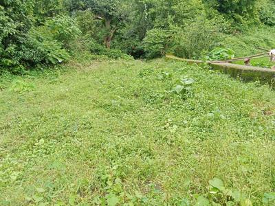 Image of 158 Sq.ft Residential Plot / Land for sale in East Hopetown, Dehradun for Rs. 3160000