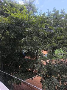 Bedroom Five Image of 3150 Sq.ft 5 BHK Apartment / Flat for sale in Talaghattapura Bengaluru for Rs. 29000090