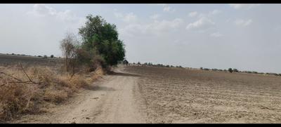 Image of 548778 Sq.ft Residential Plot / Land for sale in Visalpur, Ahmedabad for Rs. 270000000