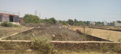 Para Plot View 2