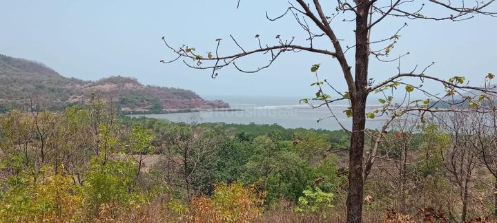 Towncity Plots In Sarde Main Image 1