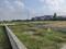 Dasna Plot View 2