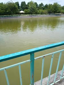 Image of 139109 Sq.ft Residential Plot / Land for sale in Ambale, Purandhar, Pune for Rs. 1200000000