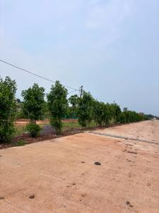 Image of 1250 Sq.ft Residential Plot / Land for sale in Old Dhamtari Road, Raipur for Rs. 3125000