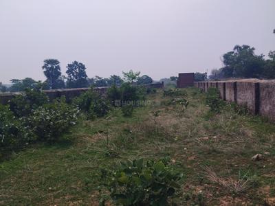 Image of 8276 Sq.ft Residential Plot / Land for sale in Matkuria Asmashan Ghat, Dhanbad for Rs. 1200000