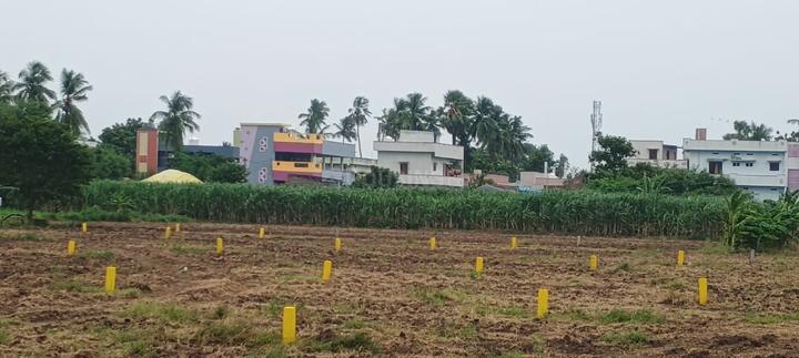 Kankipadu Main Image 1