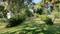 Muttukadu Plot View 2